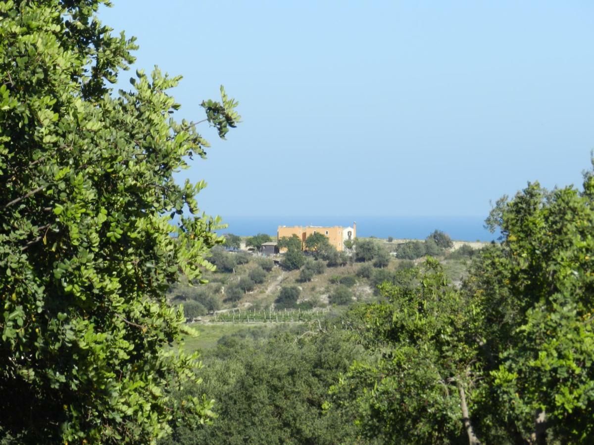 Villa Zammarra Casa Maccari Εξωτερικό φωτογραφία